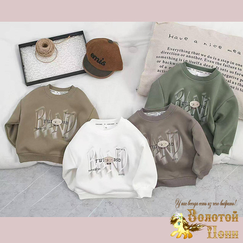 Свитшот хл детский (2-6) 251220-R-2649