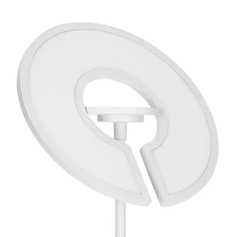 Торшер светодиодный Citilux Loong CL810030