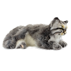 Hansa Мягкая игрушка 