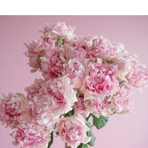 Кэнди Флоу (Candy Flow)