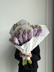 Охапка маттиолы в фиолетовом оттенке 10 шт