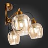 Люстра потолочная Evoluce Acro SLE110002-05
