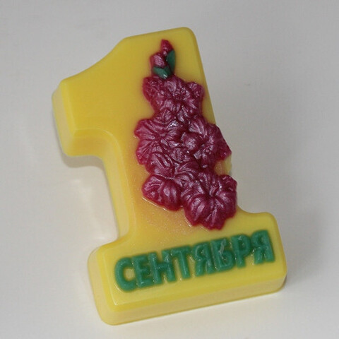 Форма пластиковая 