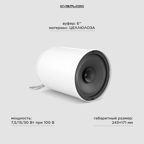 CVGAUDIO SPC6TW Подвесной широкополосный громкоговоритель для систем Public Address