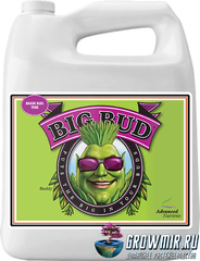 Стимулятор цветения Big Bud Liquid