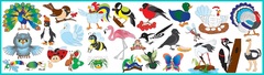 Развивающий набор наклеек: Насекомые и птицы