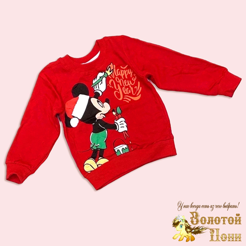 Свитшот начес 