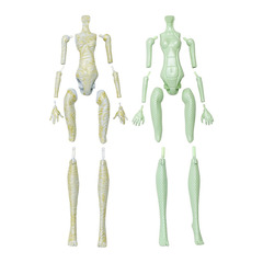 Набор Собери монстра Мумия и Горгона