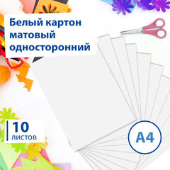 Картон белый А4 немелованный 10 листов в папке BRAUBERG 200х290 мм 