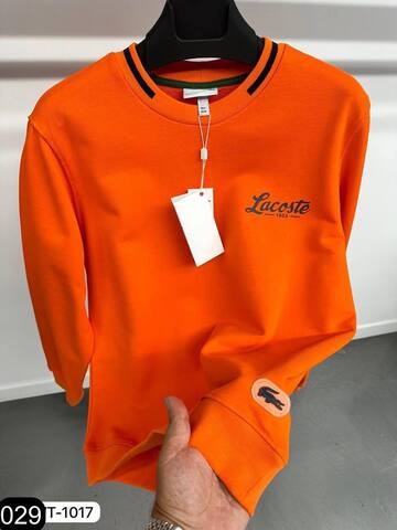 Худи Lacoste 624207 