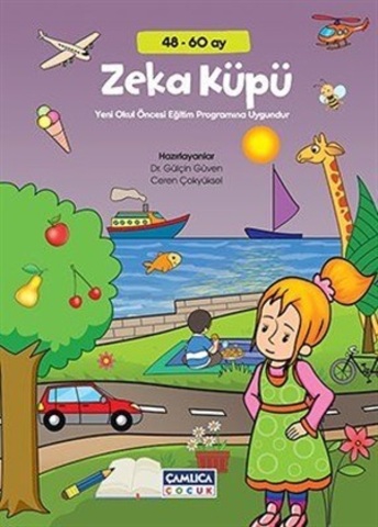 Zəka küpü