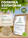 Купить Солянку холмовую по уникальной цене! – РОДНЫЕ ТРАВЫ