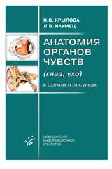 Анатомия органов чувств (глаз, ухо) в схемах и рисунках