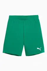 Шорты Puma teamGOAL Junior - зеленый