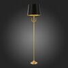 Торшер ST Luce Velossa SL1123.205.01