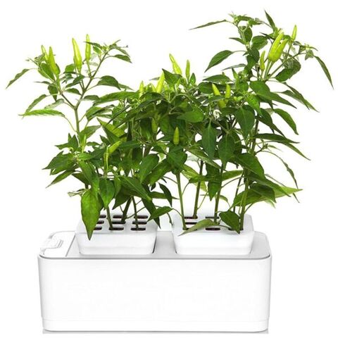 Мини-сад Fashion Grower белый