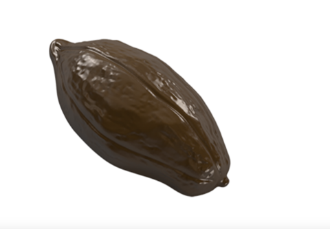 Форма поликарбонатная для шоколадных конфет - Какао-бобы