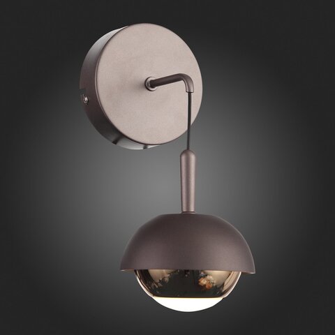 Светильник настенный ST Luce Entolla SL1602.321.01