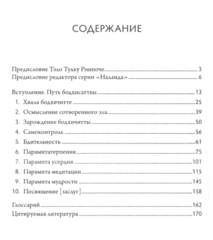 Далай-лама  Вспышка молнии во мраке ночи. Краткий комментарий к «Бодхичарья-аватаре» Шантидевы