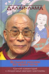 Далай-лама  Вспышка молнии во мраке ночи. Краткий комментарий к «Бодхичарья-аватаре» Шантидевы