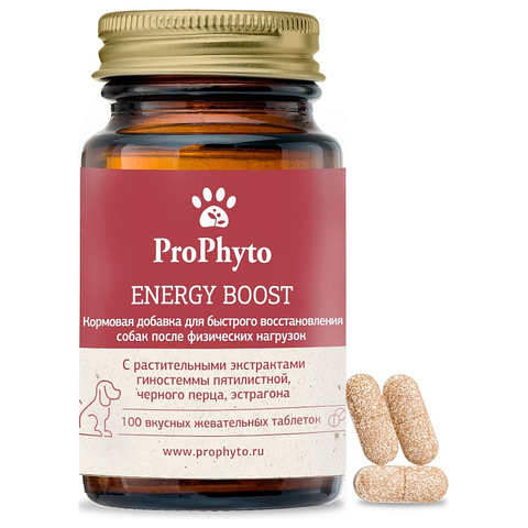 ProPhyto Энерджи Буст, 100 таблеток
