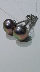 Жемчуг Ч (пусеты из серебра)