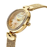 CERRUTI 1881 CIWLG2206503-4