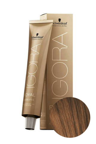 Краситель для волос Igora Absolute 6-60 Темный русый шоколадный натуральный Schwarzkopf Professional, 60 мл