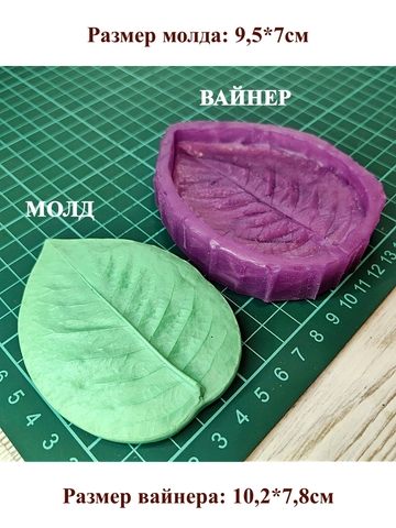 Молд+Вайнер 