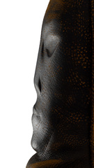 Борцовский манекен exclusive bras Filippov 170см/42-45кг, коричневый