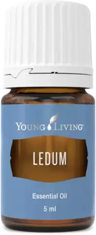 Young Living. Багульник (Ledum) – 5 ml