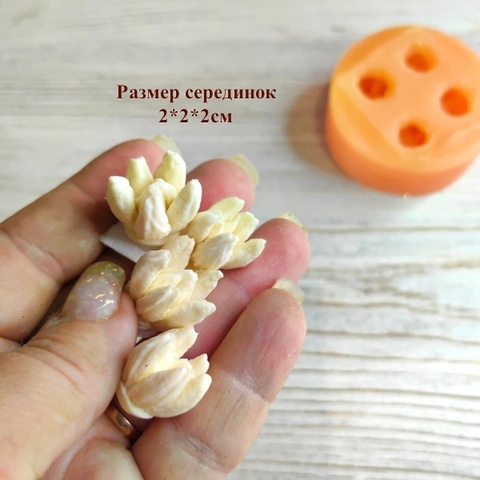 Молд пластиковый + Вайнер силиконовый 