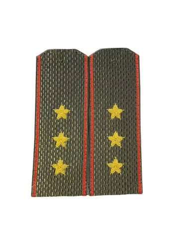 Погоны МО вышитые ст.прапорщик