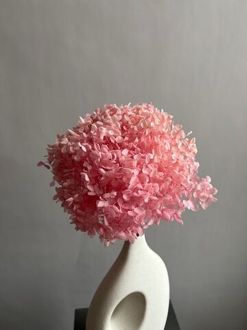 Гортензия стабилизированная светло-розовая