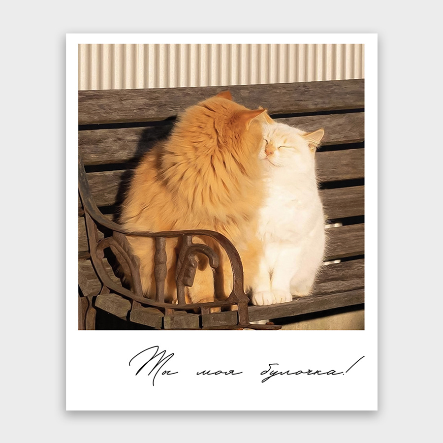 Фото-карточка 