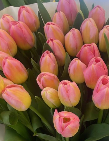 Банч 50 тюльпанов желто-розовых