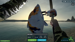 Ultimate Fishing Simulator 2 (для ПК, цифровой код доступа)