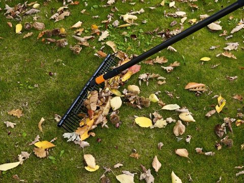 Черенок универсальный Fiskars QuikFit, размер: L, чёрный графитовый (1000661)