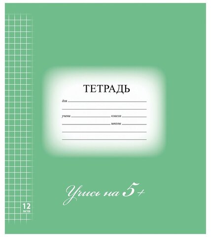 Тетрадь 12 л. BRAUBERG ЭКО 