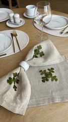 Салфетки сервировочные из льна (2 шт) в подарочной упаковке арт. САЛЛЕНЗЕЛ-2