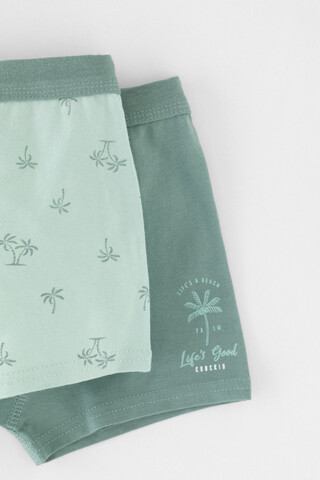 трусы/ уп  для мальчика  К 1980-2уп/полынь,голубая дымка,пальмы