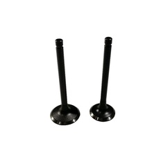 Клапаны (пара) LC2V80F, LC2P82F/500550037-0001