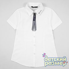Блузка (вытачки, брошь)