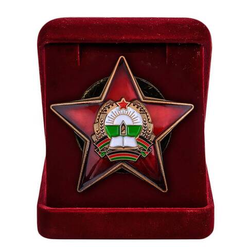 Муляж орден Афганистана За храбрость