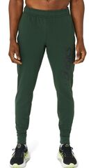 Теннисные брюки Asics Big Logo Sweat Pant - rain forest/performance black