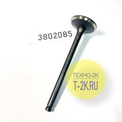 3802085 клапан выпускной