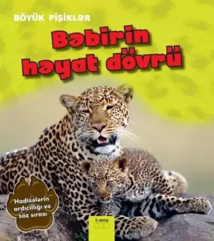 Bəbirin həyat dövrü