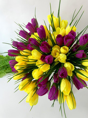 №2 Крокусы-подснежники искусственные, Желто+малиновый ПЫШНЫЙ микс, 35 см, более 90 бутонов в наборе, набор 3+3 букета, всего 6 букетов.