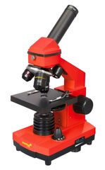 Микроскоп Levenhuk Rainbow 2L PLUS Апельсин с набором Levenhuk K50