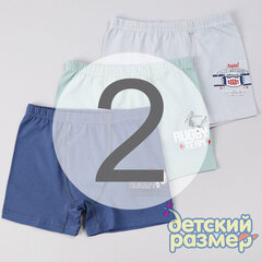 2 (3-4 года)